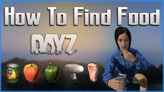 DayZ Survival Tips and Tricks [upl. by Pizor141]