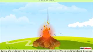 Combustion and Flame  Combustion  Class 8 [upl. by Rramel163]