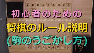 将棋のルール 駒の動かし方 将棋入門 将棋初心者用 [upl. by Merth]