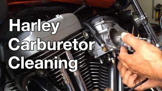 How To Harley Davidson Sportster Carburetor Cleaning [upl. by Efioa]