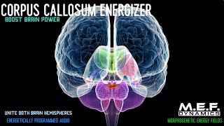 Corpus Callosum Function Amplifier [upl. by Marissa]