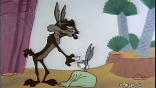 Wile E Coyote Genius [upl. by Thurnau64]