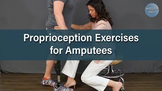 Balance Exercises for Amputees Proprioception [upl. by Annmarie]