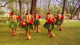 Beautiful Hula  Polynesian Dancers [upl. by Eanert]