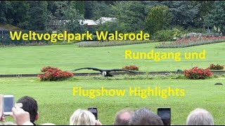 Weltvogelpark Walsrode  Rundgang und Flugshow Highlights [upl. by Yedorb]