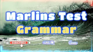 Marlins Test For Seafarer  Grammar [upl. by Asaph]