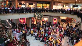 Flash Mob the best of Christmas 2011  Flash Mob Best Of [upl. by Imeaj420]