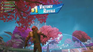 Fortnite Xbox Series S Gameplay 671 Squads Doggo Skin [upl. by Descombes851]