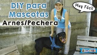 Cómo hacer un arnéspechera para tu perro │DIY [upl. by Nnylyaj593]