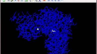 3D Models of Enzymes  English [upl. by Ayikur381]