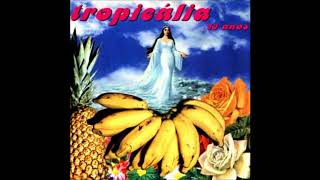 Tropicália 30 anos  full album [upl. by Lehrer478]