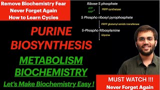 Purine Synthesis  Biochemistry  Purine Metabolism Video [upl. by Penney]