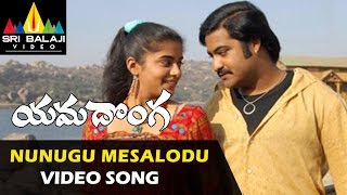 Yamadonga Video Songs  Nunugu Misalodua Video Song  JrNTR Priyamani  Sri Balaji Video [upl. by Sacttler]