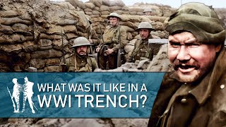 24 Hrs In The Trenches WW1 Documentary [upl. by Amalle]