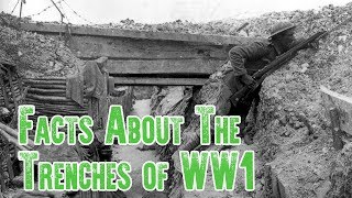 Trench Warfare Facts  The Trenches of WW1 [upl. by Anama]