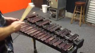 Five Minute Drum Lessons  Introduction to Xylophone [upl. by Drusi]