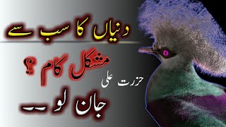 Top 10 Aqwal e Zareen  by Hazrat Ali In Urdu [upl. by Nageet]