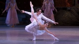 Grand Pas de Deux  Adagio  NUTCRACKER Tchaikovsky  National Opera of Ukraine [upl. by Nairam]