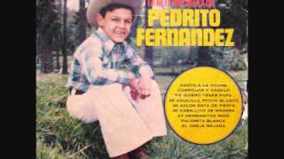 PEDRITO FERNANDEZ  CANTO A LA MADRE vinyl [upl. by Shiau]