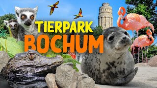 Tierpark  Fossilium Bochum  ZooEindruck [upl. by Enelrak]