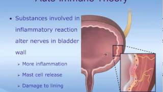 Understanding Interstitial Cystitis IC [upl. by Robin]