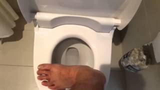 How a bidet toilet works [upl. by Erdei625]