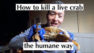 How to kill a live crab humanely [upl. by Trescott]