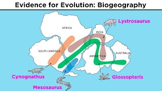 The Evolution of Populations Natural Selection Genetic Drift and Gene Flow [upl. by Hasseman]