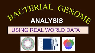 Whole Genome Sequence Analysis  Bacterial Genome Analysis  Bioinformatics 101 for Beginners [upl. by Adin258]