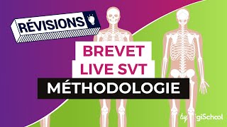 Brevet 2017  Méthodologie pour la SVT en live avec digiSchool [upl. by Ateerys533]