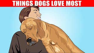 15 Things Dogs Love the Most [upl. by Eceryt]