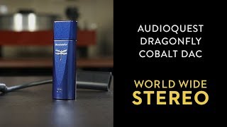 Review AudioQuest DragonFly Cobalt USB DAC Headphone Amplifier [upl. by Odelle462]