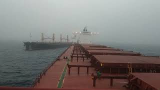 capesize vs panamax [upl. by Idnat]