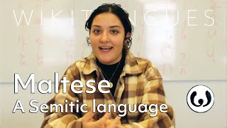 The Maltese language casually spoken  Elena speaking Maltese  Wikitongues [upl. by Ynahpets]