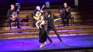 Flamenco at Palau de la Musica Catalana Barcelona 2017 [upl. by Ahseen336]