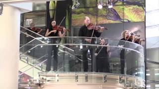 Raleigh Symphony Orchestra  Flash Mob [upl. by Eiznek643]