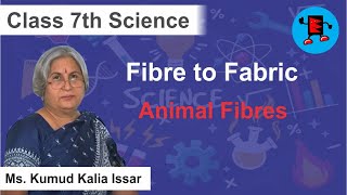 CBSE Class 7 Science Fibre to Fabric Animal Fibres Extraminds [upl. by Tapes]