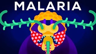 Genetic Engineering and Diseases – Gene Drive amp Malaria [upl. by Aneej225]