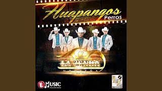 Huapangos Perros [upl. by Nevag]