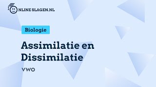 Assimilatie en Dissimilatie  Biologie Eindexamen vwo [upl. by Chaing775]