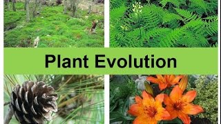 Plant Evolution updated [upl. by Rorry]