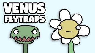 Venus Flytraps Are Weird [upl. by Eugenius]