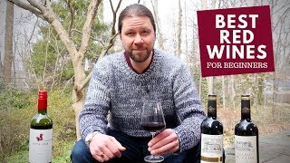 The Best Red Wines For Beginners Series 6 Malbec [upl. by Otter]