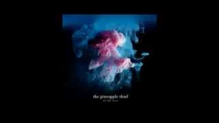 The Pineapple Thief  04  All the wars [upl. by Giraud]