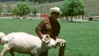 Cantinflas en su hacienda La Purísima Ixtlahuaca México  El rancho de Mario Moreno 1977 [upl. by Kenneth866]