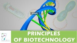 PRINCIPLES OF BIOTECHNOLOGY [upl. by Manda]