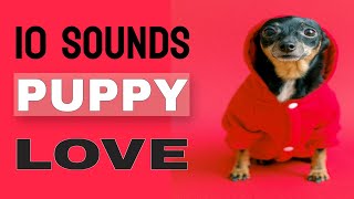 10 Sounds Puppy Love The Most [upl. by Yeltrab737]