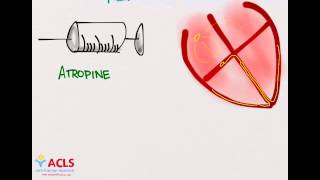 PALS Medications Part One by ACLS Certification Institute [upl. by Pedaiah]