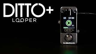 Ditto  Looper  Official Product Video [upl. by Bust493]