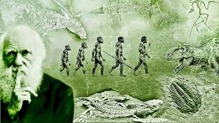 Evolution  What Darwin Never Knew  NOVA Full Documentary HD [upl. by Rahcir]